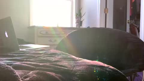 Snapshot of laycee69 chatting on December 20, 8:38 pm Laycee Layne online show from December 20, 8:38 pm