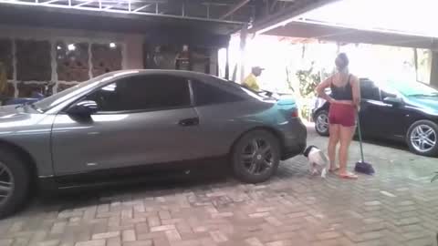 kelly online show from March 18, 6:22 pm