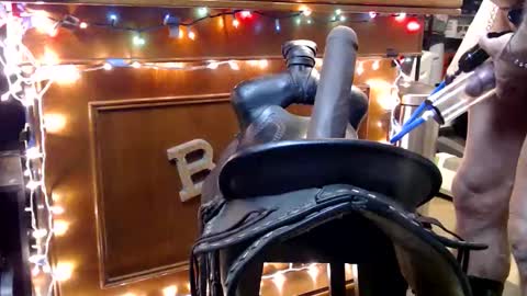 Lee Cox online show from November 26, 2:23 am