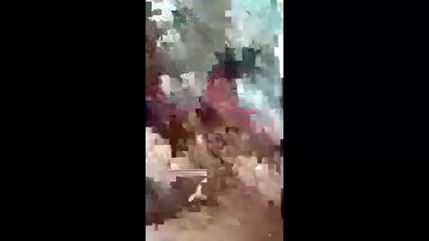 Snapshot of leedyamond chatting on May 12, 2:58 pm leedyamond online show from May 12, 2:58 pm