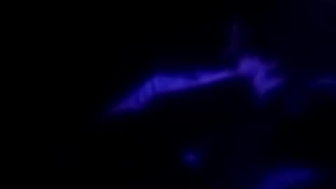 Snapshot of leemen33 chatting on September 30, 9:14 am Michael online show from September 30, 9:14 am