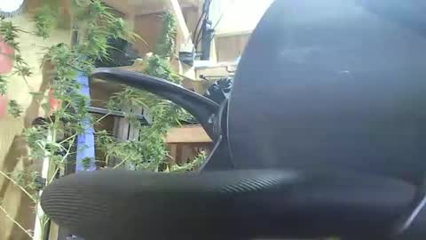 HoleStretcher online show from September 9, 7:46 pm