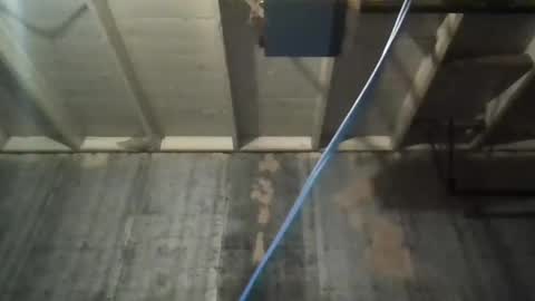 leo199984 online show from November 5, 3:39 am