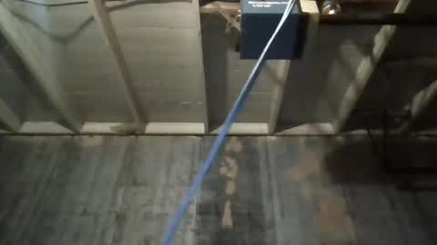 leo199984 online show from November 25, 3:39 am