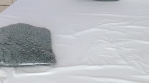 LUCY online show from February 17, 8:37 pm