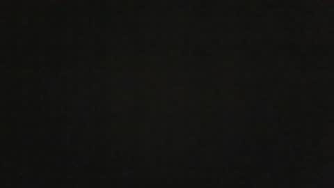 Snapshot of leontorax chatting on December 14, 12:10 pm T0rax online show from December 14, 12:10 pm