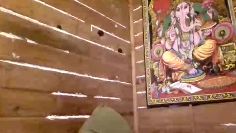 leskator9 online show from April 18, 8:40 am