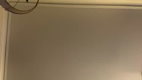 Snapshot of letmetasteit4444 chatting on July 20, 2:48 am letmetasteit4444 online show from July 20, 2:48 am