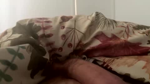 Snapshot of letsgohome2222 chatting on October 11, 2:37 pm letsgohome2222 online show from October 11, 2:37 pm