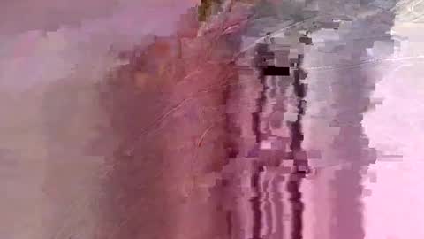 letslookateach online show from February 26, 8:46 am