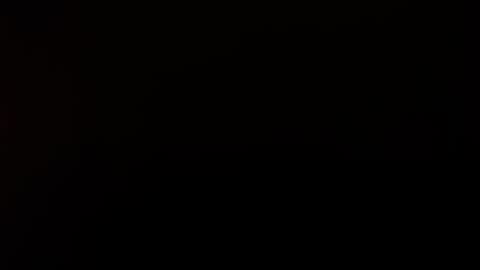 letsplay361 online show from November 20, 2:34 am