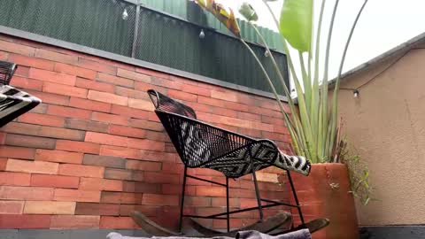 Snapshot of lettali chatting on March 21, 4:10 pm follow me here you find me online show from March 21, 4:10 pm