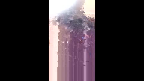 levis501bandant online show from January 17, 2:27 am