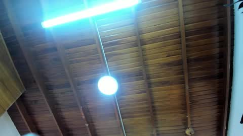 LevySteven online show from November 23, 3:28 am