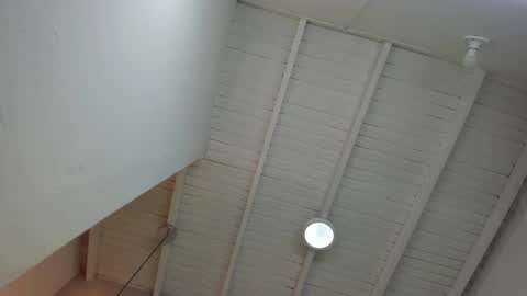 LevySteven online show from November 24, 12:43 am