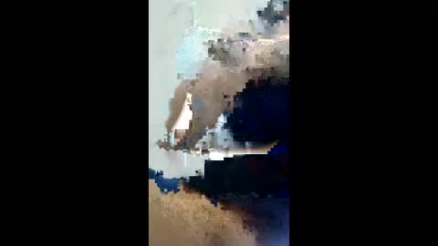 lexboy788181 online show from April 23, 5:52 am