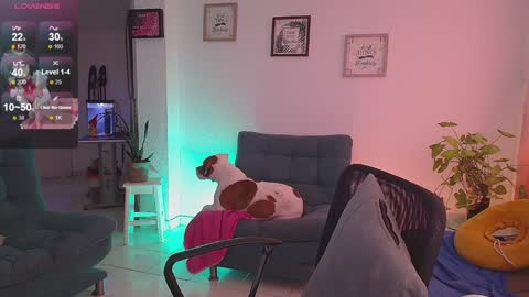 Snapshot of lexie_babe chatting on December 16, 11:33 am Lexie Thompson 8pm 0000am -5 online show from December 16, 11:33 am