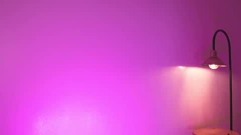 liaa online show from December 3, 7:45 pm