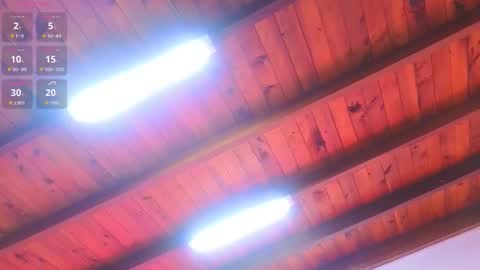 Lia Cox online show from March 1, 3:08 am