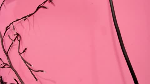 Liam online show from January 18, 3:10 am