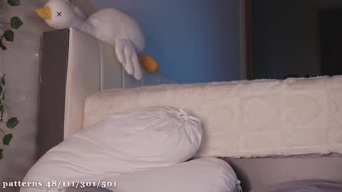 Molly  you can find Bunny here --  online show from January 14, 4:50 pm