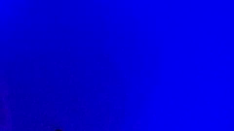 LickYourYoni online show from January 17, 3:32 pm