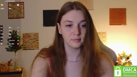 Snapshot of liebevol chatting on November 29, 5:05 pm Amelia Next stream Friday - start 1500-1600 UTC online show from November 29, 5:05 pm