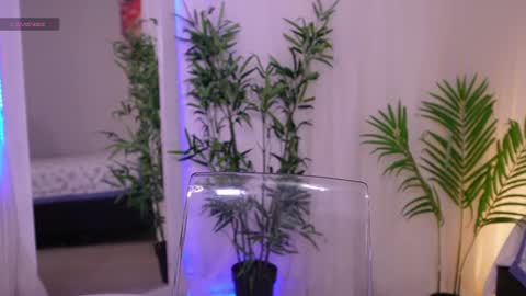 Snapshot of liia_sweett chatting on June 19, 4:22 pm Lia Sweet online show from June 19, 4:22 pm