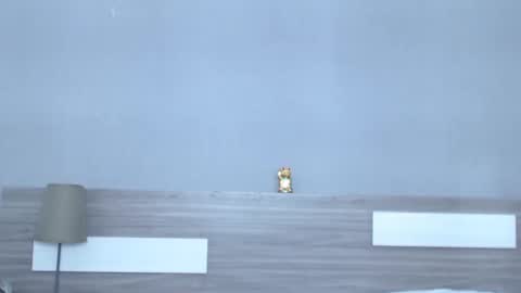 Liam thompson online show from October 3, 10:40 pm