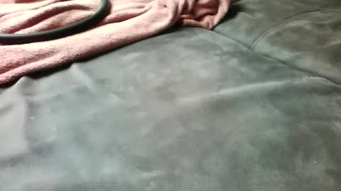 like2405 online show from April 13, 10:21 am