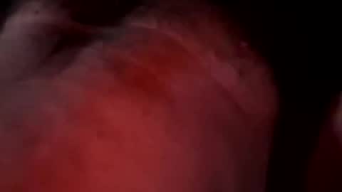 Snapshot of liketoplay4444 chatting on March 20, 11:48 am Liketoplay online show from March 20, 11:48 am