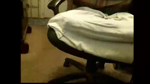 Snapshot of lile_luvit chatting on March 1, 5:37 pm Sasquatch online show from March 1, 5:37 pm