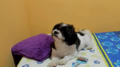 Lili online show from March 7, 7:33 pm