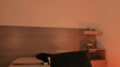 lilith_sage_ online show from March 29, 12:10 am