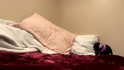 Kitty online show from September 12, 3:56 pm