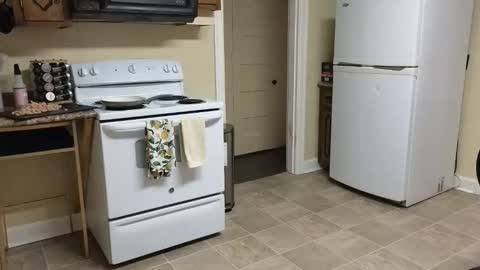 lilly_adams88 online show from February 20, 2:52 am