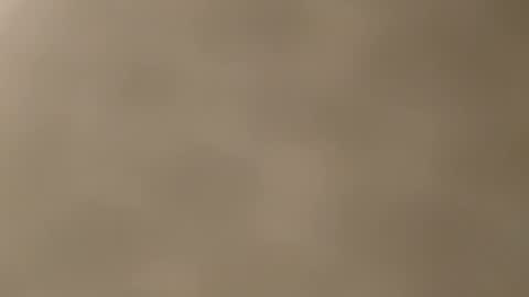 Mia online show from November 21, 12:26 pm