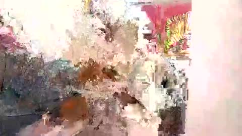 lilsexyx online show from November 19, 4:34 am