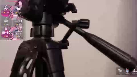 Snapshot of lily_beet chatting on November 7, 3:50 am Lily online show from November 7, 3:50 am