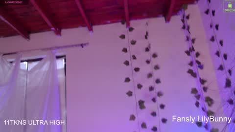 Snapshot of lily_bunny_1 chatting on December 6, 10:19 pm Fansly LilyBunny- help me reach 50 thumbs up online show from December 6, 10:19 pm