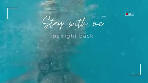 Snapshot of lily_foster_ chatting on November 19, 12:27 pm Lily online show from November 19, 12:27 pm