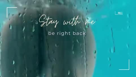 Snapshot of lily_foster_ chatting on December 21, 6:31 am Lily online show from December 21, 6:31 am