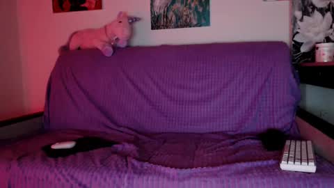 Snapshot of lily_litle chatting on December 8, 6:17 pm Lily Litle online show from December 8, 6:17 pm