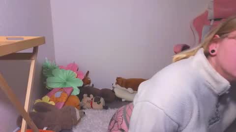 lime cat online show from October 18, 1:19 am