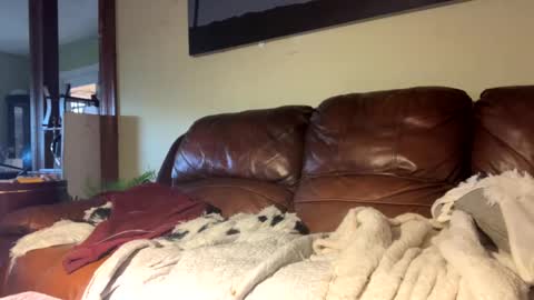 Snapshot of lincolnlongdick chatting on December 6, 7:23 pm Richie Rich online show from December 6, 7:23 pm