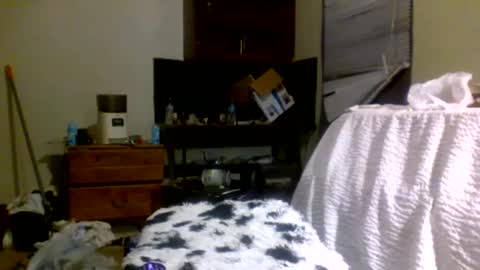 Snapshot of lincolnlongdick chatting on December 30, 8:15 pm Richie Rich online show from December 30, 8:15 pm