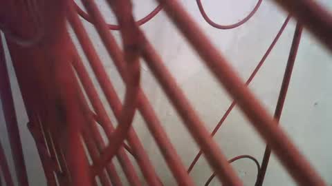 Snapshot of lincolnlongdick chatting on October 11, 5:00 pm Richie Rich online show from October 11, 5:00 pm