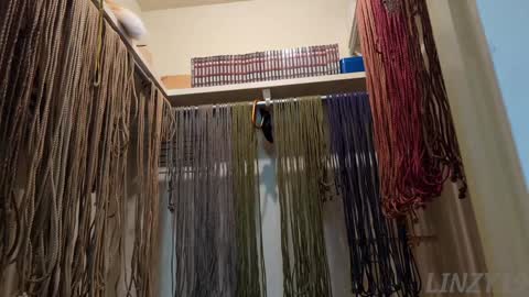 Snapshot of linzy19 chatting on February 7, 3:01 am Linzy19 online show from February 7, 3:01 am