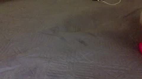 lipinhofortal853516 online show from November 10, 12:31 am