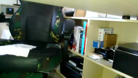 Snapshot of lipsia6511 chatting on July 25, 9:51 am lipsia online show from July 25, 9:51 am